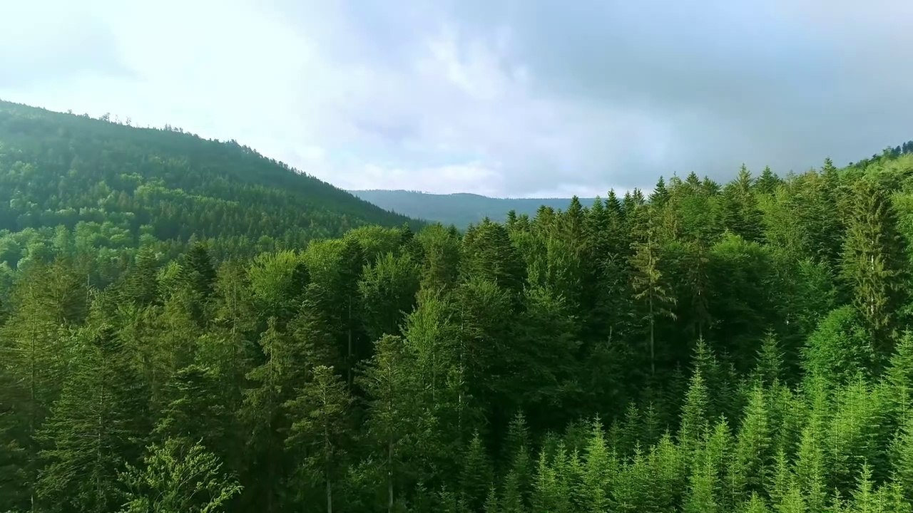Beautiful Nature