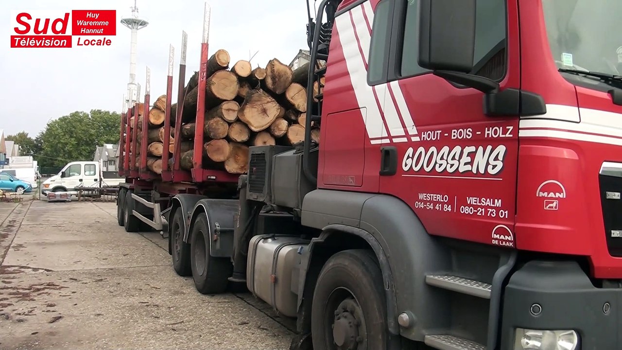 L'AURORE de Hannut met en vente du bois de qualité