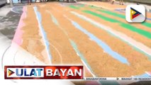 #UlatBayan | NDRRMC: Tatlo patay, 13 nawawala sa pananalasa ng bagyong #QuintaPH