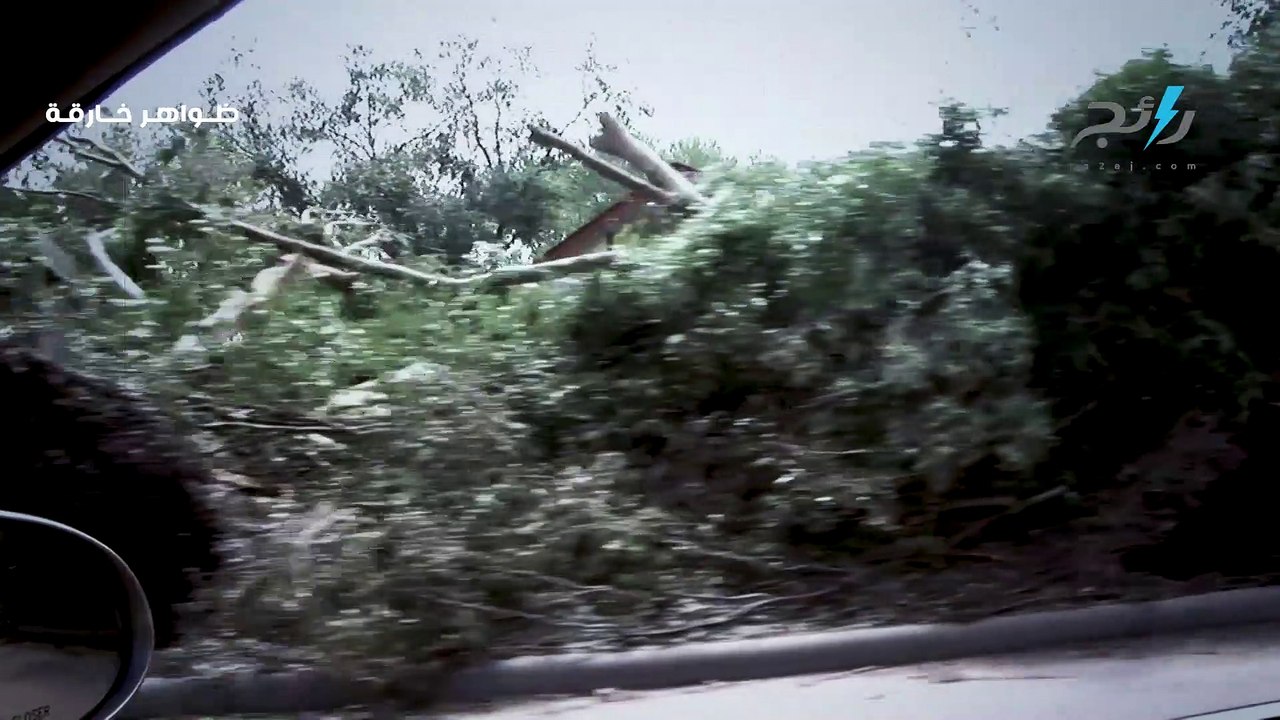 هل سمعت من قبل عن ظاهرة الأمطار الغريبة؟ …