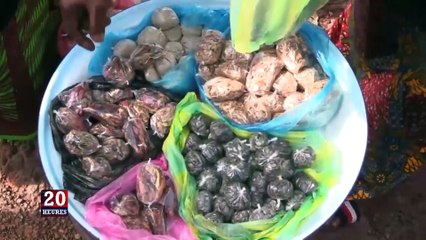 JT  20H DU VEN 23 10 2020