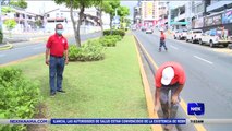 Disminuyen las mascarillas tiradas en las aceras  - Nex Noticias