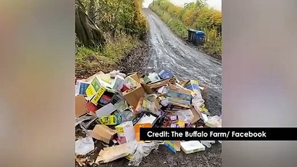 Angry Fife farmer vows to catch flytippers and 'dump buffalo dung in their shop