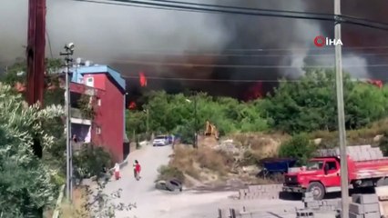 Hatay'da bir orman yangını daha
