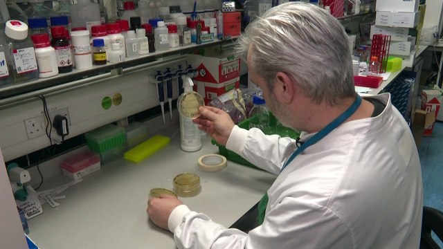 Covid-19: imunidade pode durar apenas meses