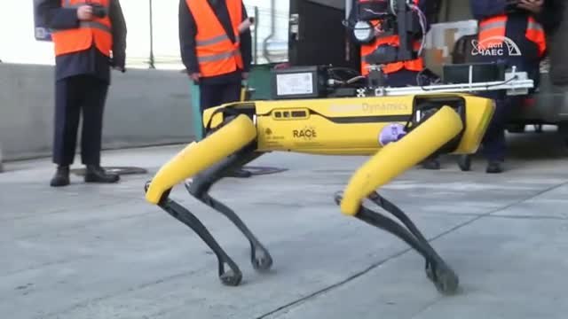 Un perro robot olfatea la radiación en la central nuclear de Chernóbil