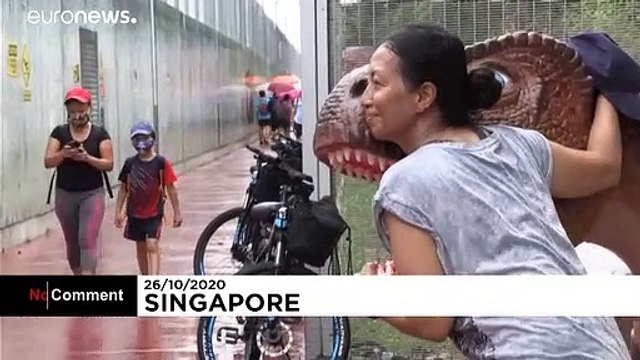 'Dinosaurs' are giving users a roaring good time on new cycling path in Singapore