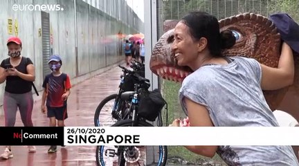 Une piste cyclable remplie de dinosaures à Singapour