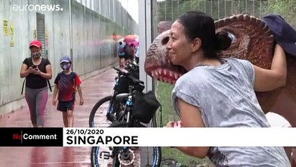 Une piste cyclable remplie de dinosaures à Singapour