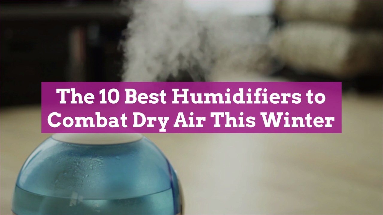 The 10 Best Humidifiers to Combat Dry Air This Winter video Dailymotion