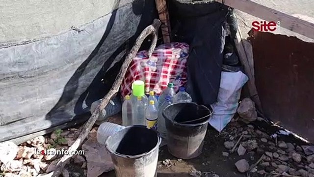 بعد ظهور سيدة تدعي أنها الأم الحقيقية للتوأم صفاء وهناء.. ابنها يكشف الحقيقة ويوجه رسالة للفنانتين