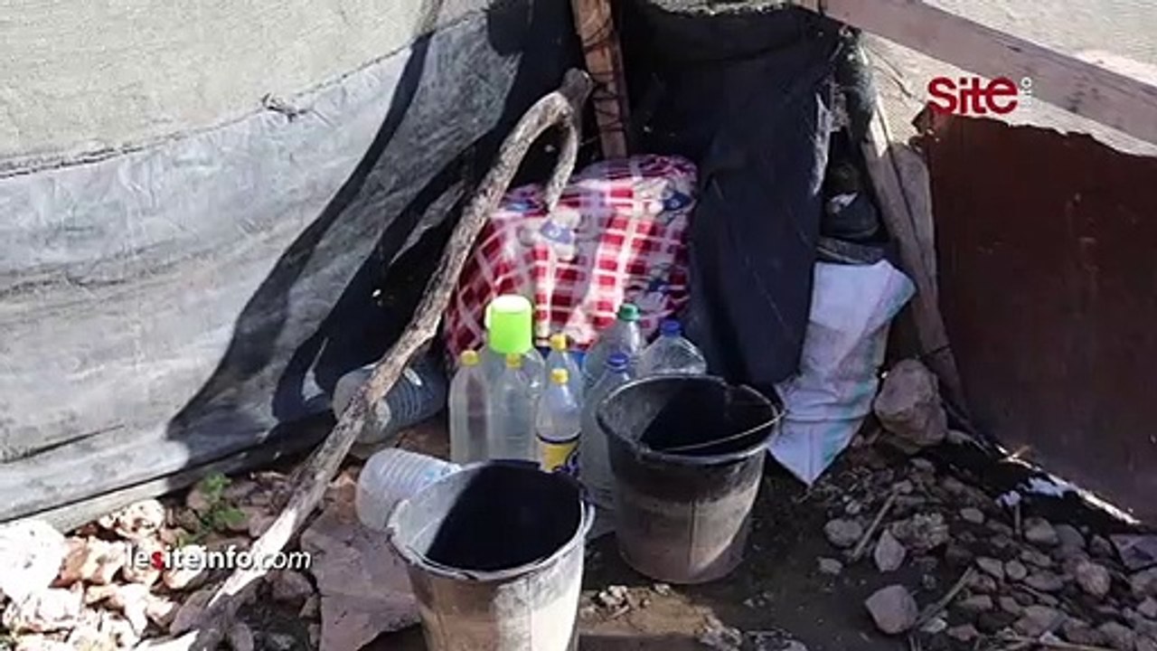 بعد ظهور سيدة تدعي أنها الأم الحقيقية للتوأم صفاء وهناء.. ابنها يكشف الحقيقة ويوجه رسالة للفنانتين