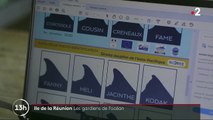 Ile de la Réunion : des scientifiques étudient le chant des baleines
