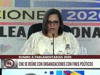 CNE garantiza una campaña electoral democrática y plural