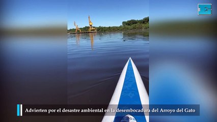 Advierten por el desastre ambiental en la desembocadura del Arroyo del Gato