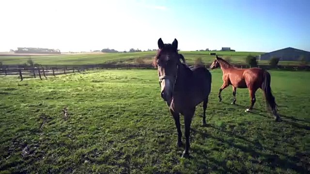 Marcus Iacuitto: Erasmus favorece la cultura empresarial europea