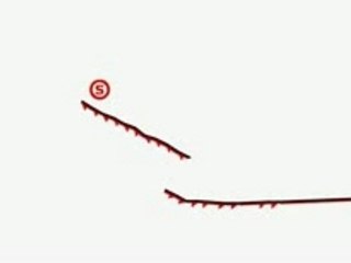 Vidéo de figures linerider by Lord Hack