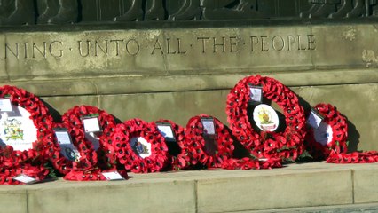 Creating Poppies From Plastic Bottles