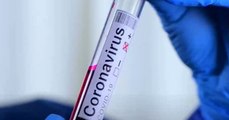 ¿La inmunidad contra el coronavirus disminuye con el tiempo? Estudio encontró nuevas evidencias