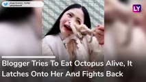 Octopus Attacks Chinese Blogger As She Tried to Eat it Alive - Watch Viral Video