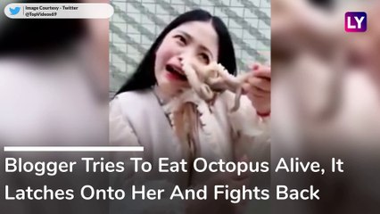 Octopus Attacks Chinese Blogger As She Tried to Eat it Alive - Watch Viral Video