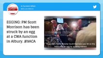 Australian PM Scott Morrison Egged While Campaigning in Rural Australia
