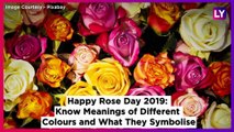 Happy Rose Day 2019: Meanings of Different Colours of Roses to Wish on the 1st Day of Valentine Week