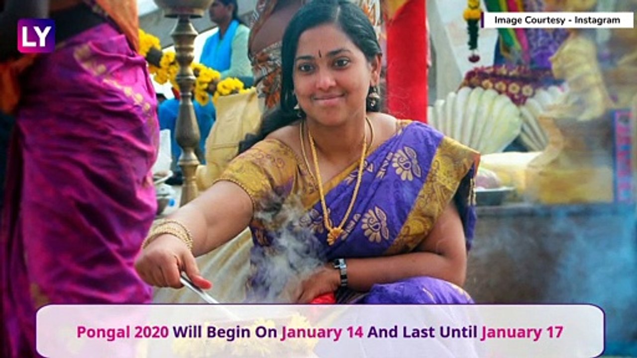 Pongal 2020: Know The Date, Significance, Rituals And Celebrations Of The Annual Tamil Festival