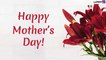 Happy Mothers Day 2019 Greetings: Wishes And Quotes For Your Mother