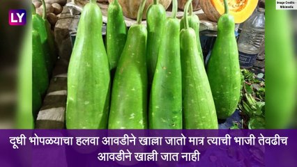 Bottle Gourd Health Benefit : दूधी भोपळ्याचे 'हे' फायदे ऐकून तुम्हाला ही आश्चर्य वाटेल