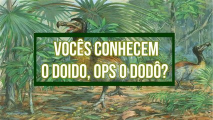 Vocês conhecem o doido, ops o Dodo?
