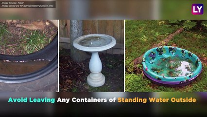 Tips to Prevent Dengue: How To Stay Protected From This Disease In Monsoon?