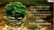 World Environment Day 2019 Wishes: Messages and Quotes to Send Happy Environment Day Greetings