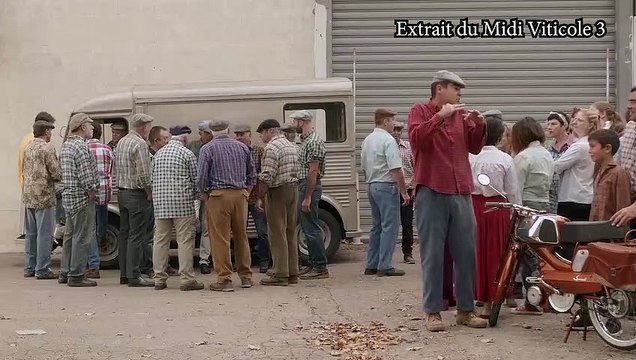 Le Midi Viticole 3 - Du Midi viticole aux Grands vins du Sud Un film de Yannick Séguier - Extrait 1