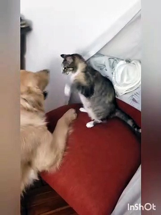 Rocco y Antonia