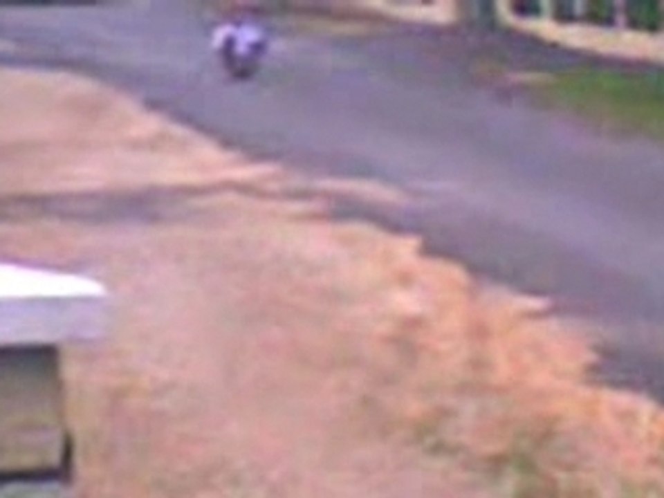poichiche skate 1