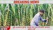 28 अक्टूबर 2020 UP News Today Uttar Pradesh Ki Taja Khabar Mukhya Samachar UP Daily Top 10 News Aaj - YouTube