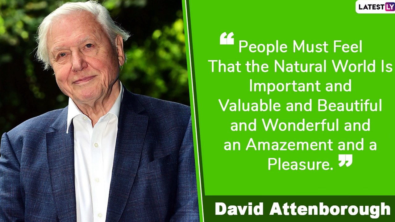 david-attenborough-quotes-popular-sayings-by-the-national-treasure-as