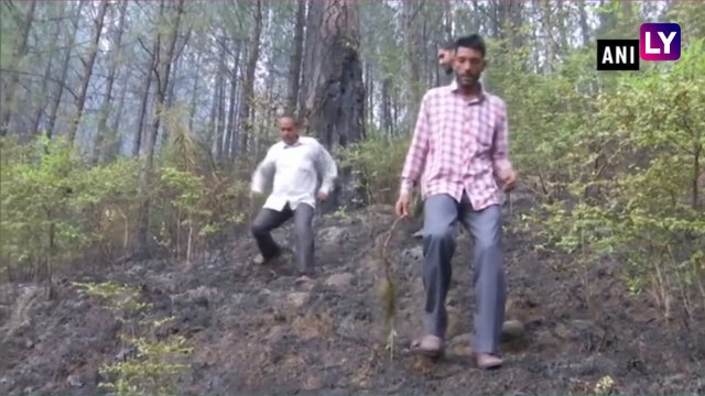 Jammu & Kashmir: Massive Fire Breaks Out in Doongi and Keri Forest