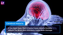 Common Complications of Malaria Caused Due To Delayed Diagnosis: World Malaria Day 2020