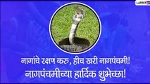 Happy Nag Panchami 2020 Greetings: WhatsApp Messages & Images to Wish on Snake-Worshipping Festival