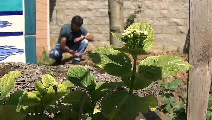 Son dakika haberi... Gıda, tarım ve orman alanında düzenleme! Kabul edildi | Video