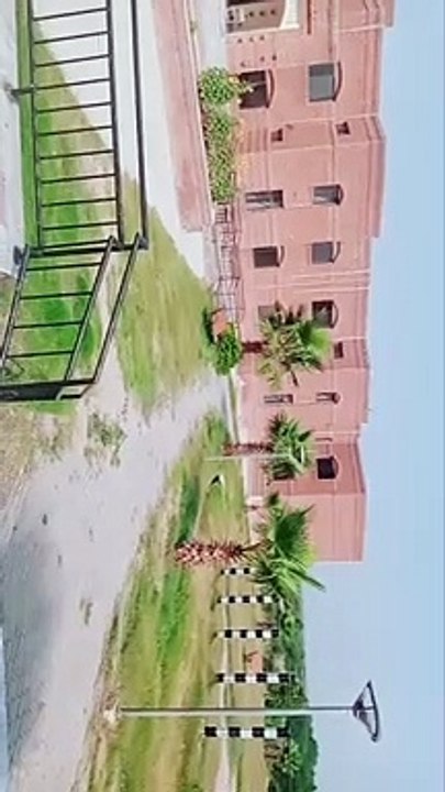 School view