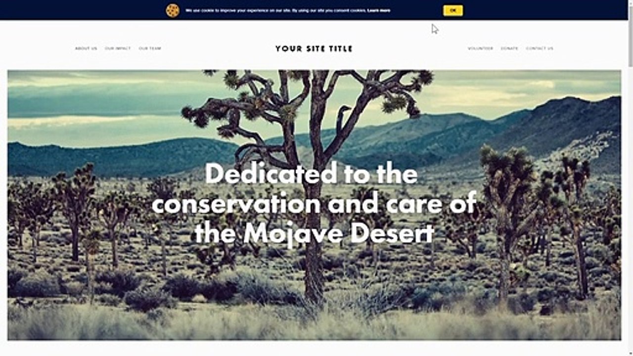 How to Add Age Verification app to Weebly (2020)