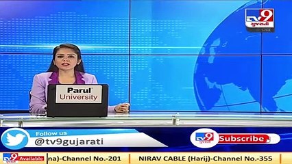 Video captures leopard leaping over tall gate while chasing prey