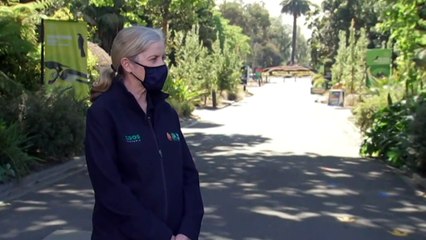Melbourne Zoo to reopen to the public from tomorrow
