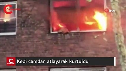 Alevlerin ortasında kalan kedi pencereden atlayarak kurtuldu