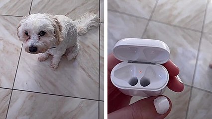Où sont les AirPods ?