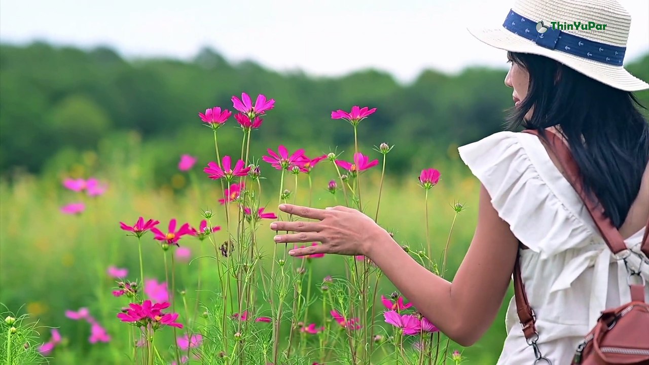 သင့်ဦးနှောက်ရဲ့ လုပ်ဆောင်ချက်တွေကို မြှင့်တင်နိုင်မယ့်  အချက် (၉) ချက် | ThinYuPar