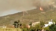 İskenderun’daki yangın farklı noktalardan çıktı, köylüler videoya aldı